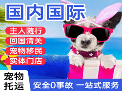 南充高坪航空快运国际宠物托运 【国